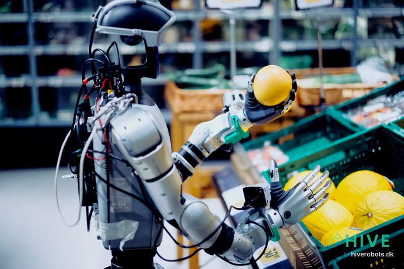 HIVE humanoid robot working in the produce section