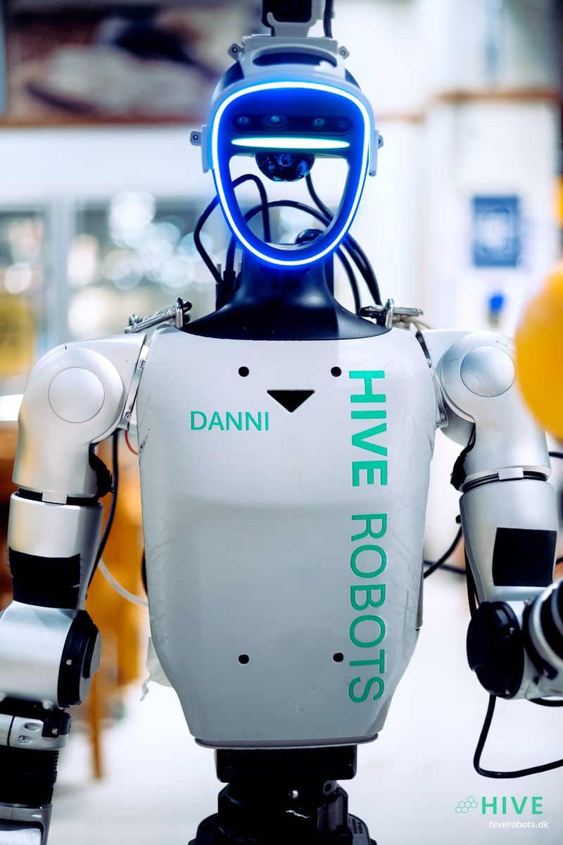 HIVE humanoid robot Danni