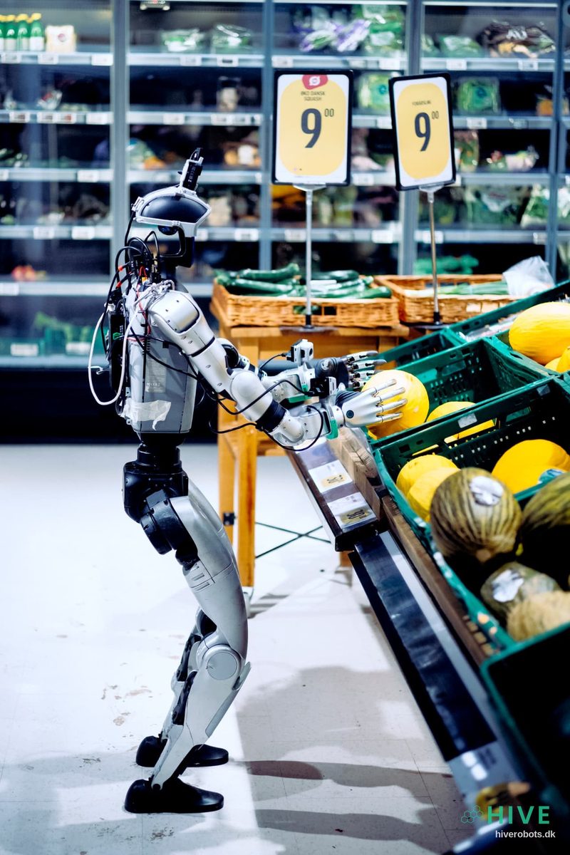 HIVE humanoid robot restocking melons from a crate